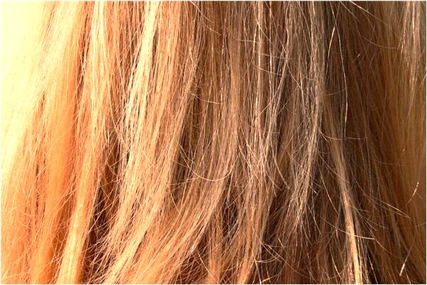 夢見打掃以前房子的廁所是什麼徵兆_周公解夢官網