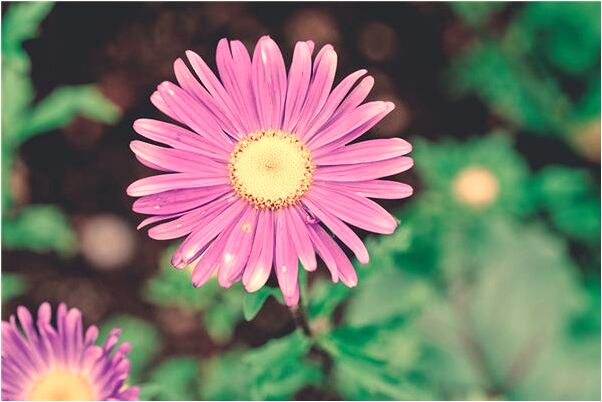 夢見擊敗旋風是什麼兆頭_周公解夢官網