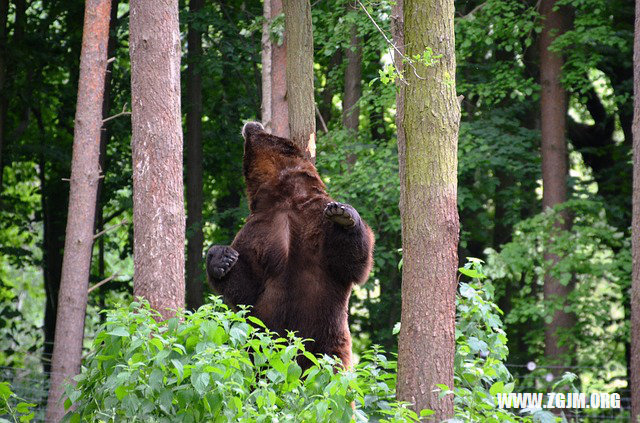 夢見下巴掉了_周公解夢夢到下巴掉了是什麼意思_做夢夢見下巴掉了好不好_周公解夢官網