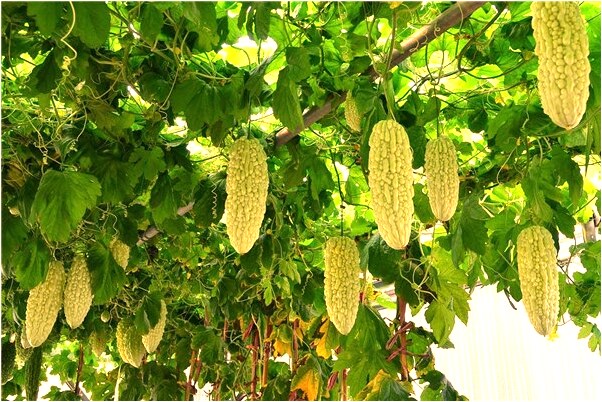 夢見睡在空曠的地上是什麼意思?_周公解夢官網