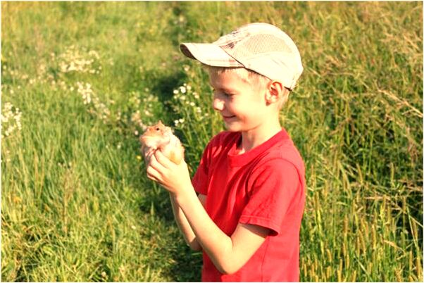 夢到了自己被小孩燙代表著什麼？_周公解夢官網