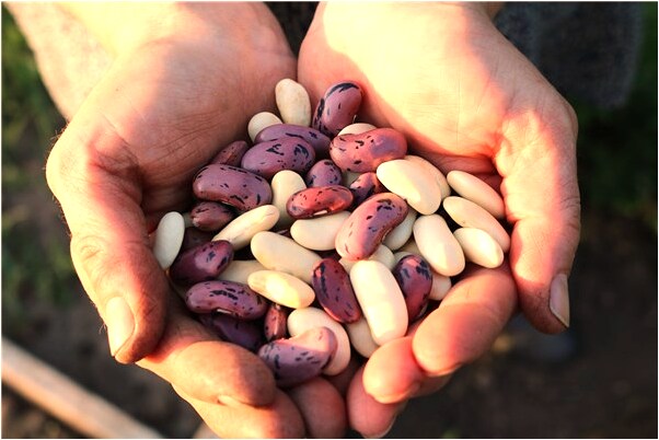 夢見樂天大佛會有什麼預兆_周公解夢官網