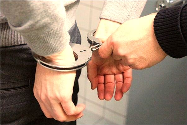 夢見貓拉肚子很臭有什麼意義嗎_周公解夢官網