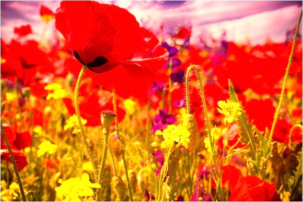 夢到了夢過去的朋友好不好_周公解夢官網