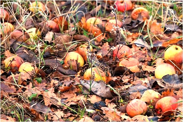 夢到雙腿變色的預兆_周公解夢官網