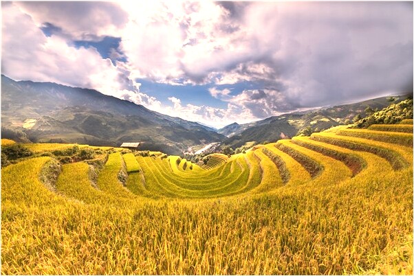 夢見親人祭日是什麼徵兆_周公解夢官網