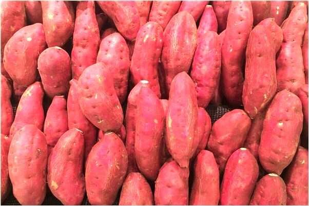 夢到鞋上沾泥脫掉鞋子進門是怎么回事_周公解夢官網