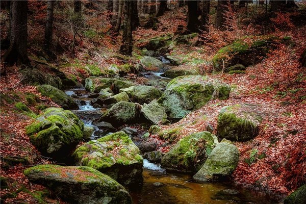 夢到乾枯的河是什麼預兆_周公解夢