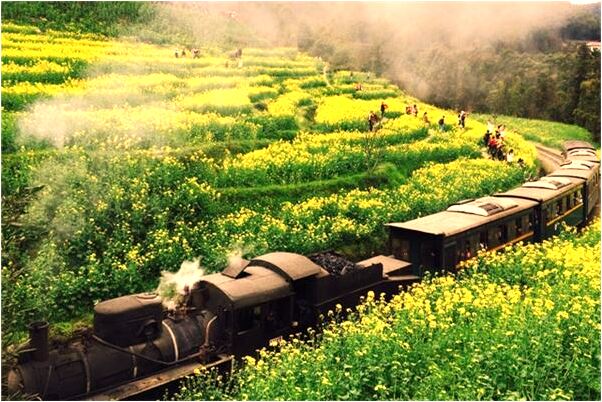 夢見自己變動漫人物有什麼意義嗎_周公解夢官網