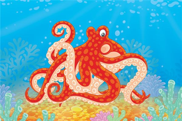 夢見章魚_周公解夢