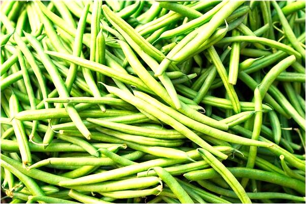 夢到了懷孕開花是什麼意思？_周公解夢官網