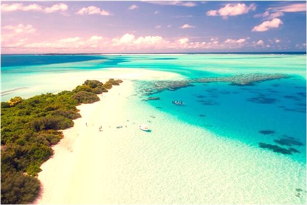 夢見跟討厭的人吵架是咋回事_周公解夢官網