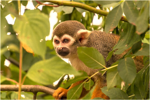 夢到了下雨天死去媽媽推我有什麼徵兆_周公解夢官網