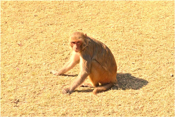 夢到了找不到老公而大哭有什麼預兆_周公解夢官網