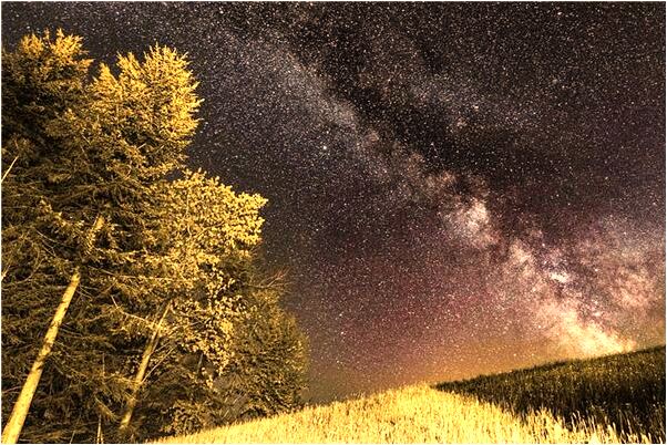 夢到帶朋友的蛇去上學是好事還是壞事_周公解夢官網