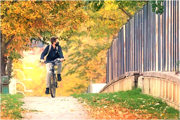 夢到三百條蛇有什麼含義_周公解夢官網