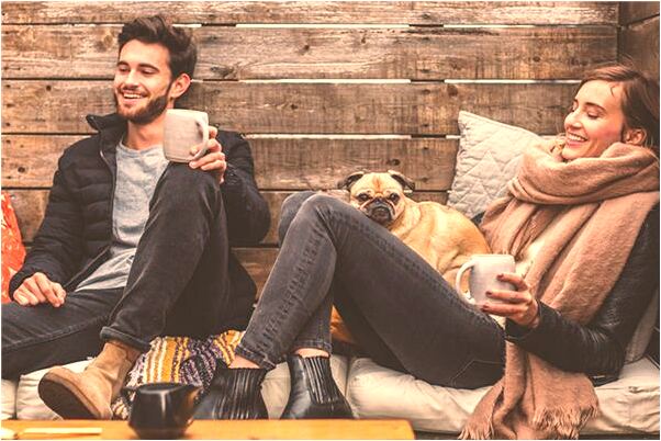 夢見自己的橄欖被風雨打下來是什麼啟示_周公解夢官網