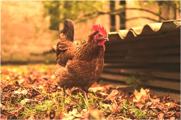 夢到自己中彩票別人也中意味著什麼_周公解夢官網
