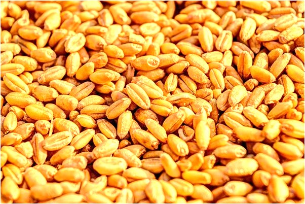 夢到下雨屋頂掉下來預示著什麼_周公解夢官網