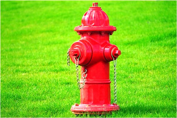 夢到大地變得荒蕪有什麼預示嗎_周公解夢官網