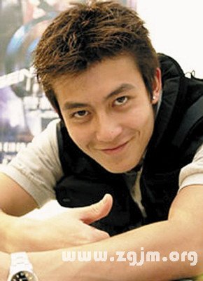 陳冠希資料 陳冠希電影_十二星座