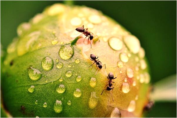 夢見人肉湯是什麼意思_周公解夢官網