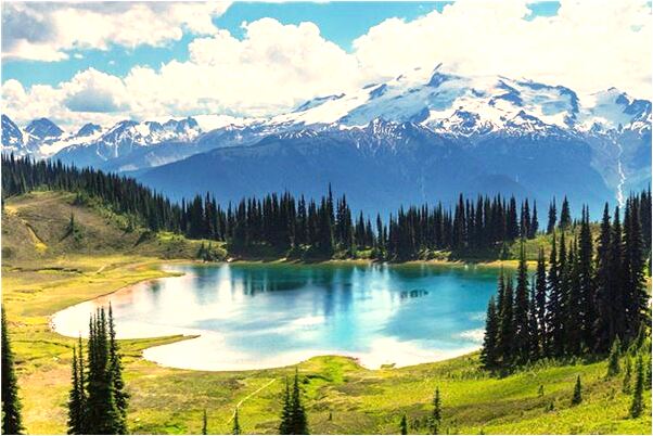 夢到從獨木橋上掉進深水裡有什麼意思_周公解夢官網