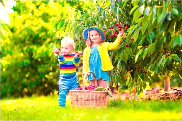 夢到了大蚯蚓進洞好不好_周公解夢官網