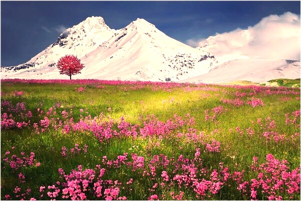 夢到了好多蚯蚓怎么樣_周公解夢官網