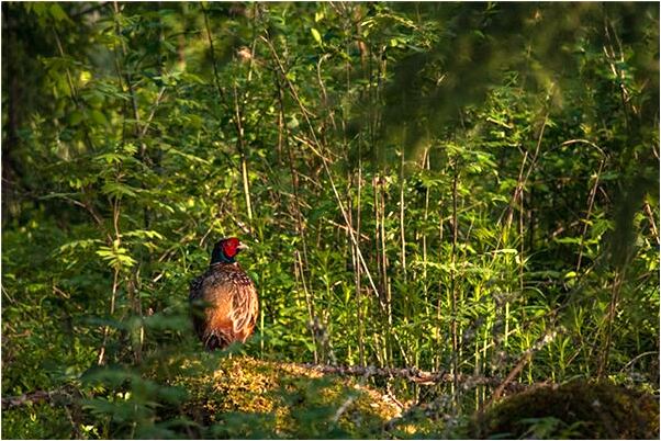 夢到了和男人蓋一個被子的預兆_周公解夢官網