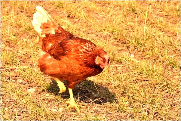 夢到異性熱情調情是什麼意思？_周公解夢官網