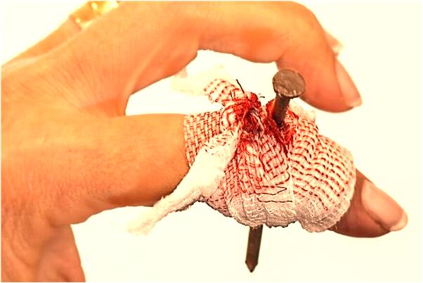 夢見小馬咬大馬眾人為之是好的徵兆嗎_周公解夢官網