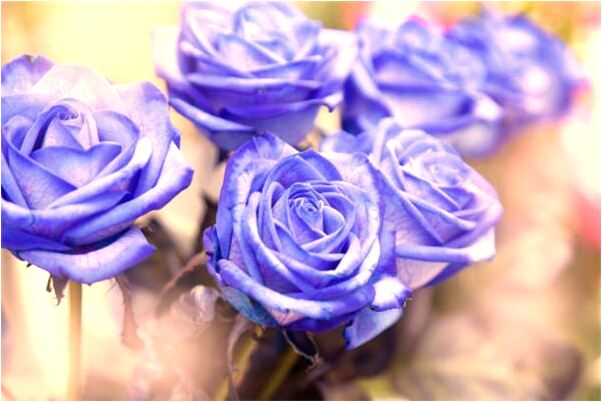 夢到快生了是好的徵兆嗎_周公解夢官網