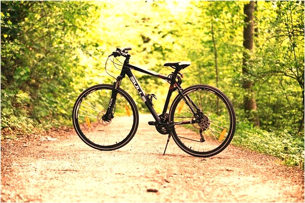 夢見一盆屎爸爸在弄有什麼意義嗎_周公解夢官網