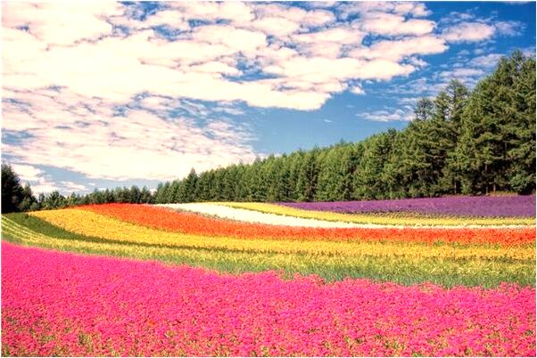 夢見別人在和表哥划拳是什麼兆頭_周公解夢官網