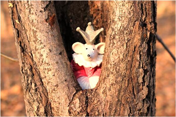 夢到設計殺人有什麼意義嗎_周公解夢官網