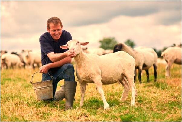 夢到了家門口種菜有什麼寓意嗎？_周公解夢官網