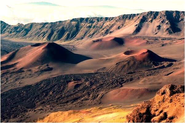 夢到別人送我一支葡萄好不好_周公解夢官網