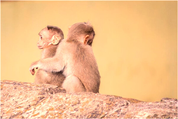 夢到我以前的女人是怎么回事_周公解夢官網