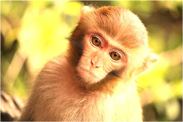 夢見鞋被別人藏起來了是什麼預兆_周公解夢官網