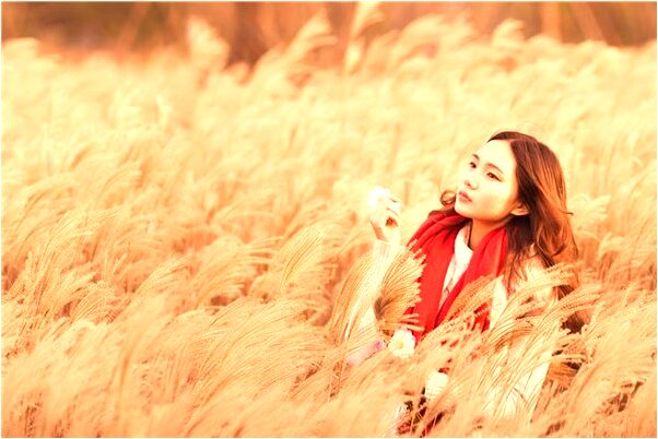 夢到挑白菜有什麼說法_周公解夢官網