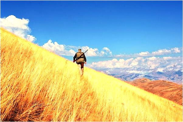 夢到男朋友滿臉鬍子是什麼意思_周公解夢官網