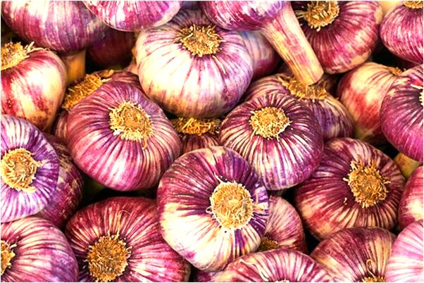 夢見布拖鞋會是什麼預兆_周公解夢官網