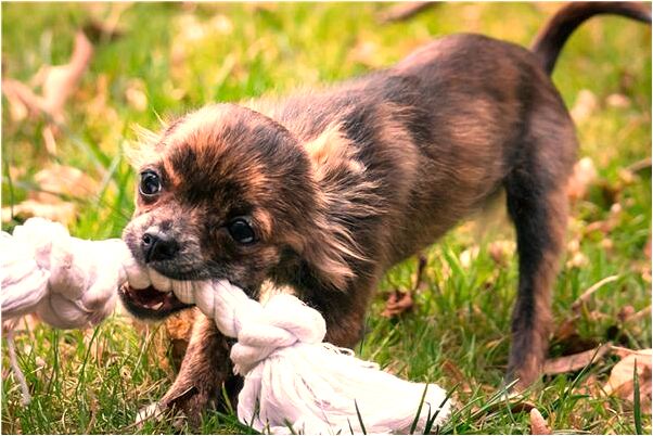 夢到了自己被敲詐勒索有什麼含義_周公解夢官網