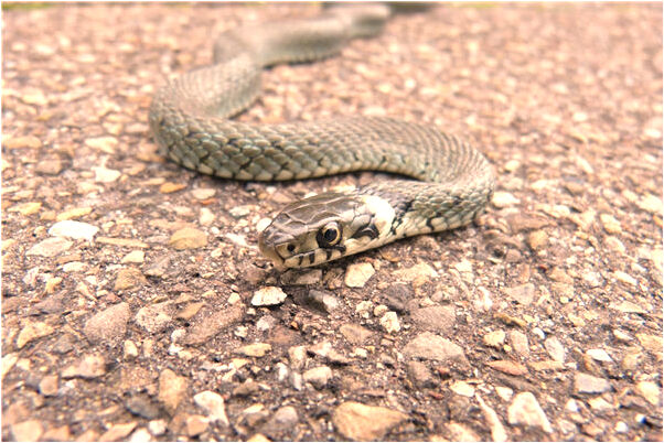 夢到了自己想要上學而哭什麼預兆_周公解夢官網