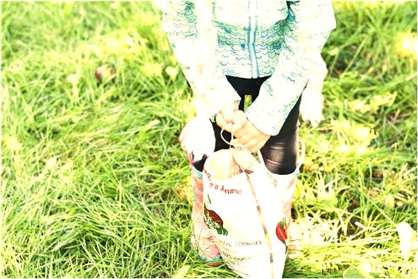 夢到了自己和父親去搓澡會是什麼預兆_周公解夢官網