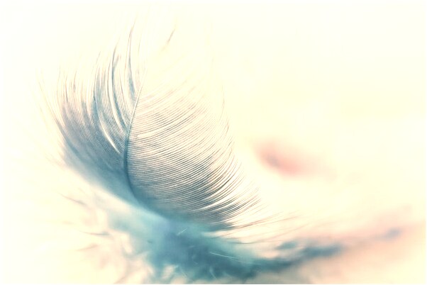 夢見自己把朋友打了預示著什麼_周公解夢官網