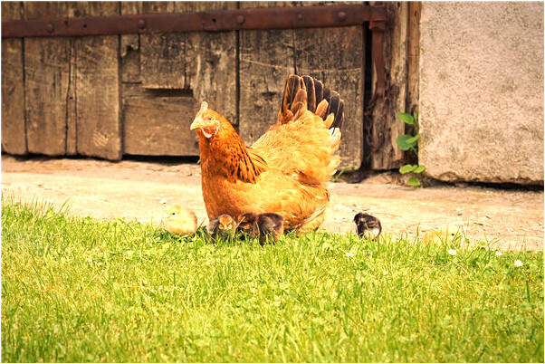 夢見海里男童游泳有什麼寓意嗎？_周公解夢官網