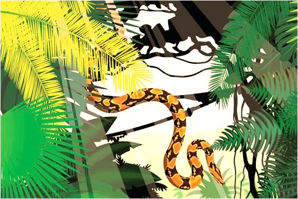 夢到家婆叫我回家是吉兆嗎?_周公解夢官網