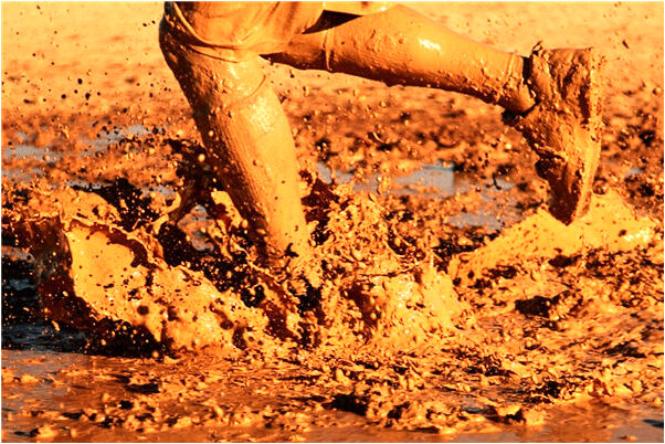 夢見水裡有很多蛇有什麼預示嗎_周公解夢官網